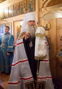 Божественная литургия в храме в честь Рождества Пресвятой Богородицы г.Саратова