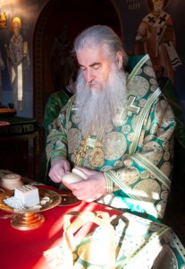 Божественная литургия в Свято-Троицком кафедральном соборе г. Саратова