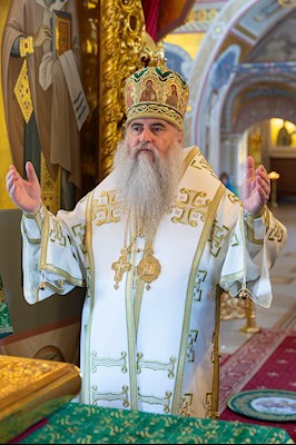 Божественная литургия в Свято-Троицком кафедральном соборе г. Саратова