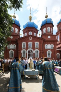 Архипастырская поездка в Петровский район