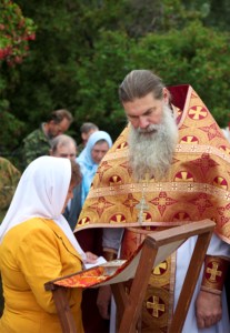 Божественная литургия в Вавиловом Доле