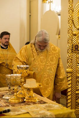 Митрополит Игнатий совершил Божественную литургию в соборном храме святителя Спиридона Тримифунтского г. Саратова