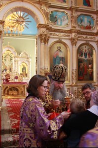 Божественная литургия в храме в честь Покрова Божией Матери города Саратова