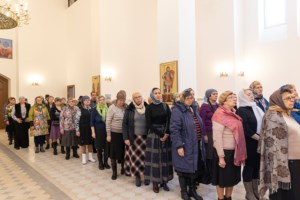 Божественная литургия в храме святителя Спиридона Тримифунтского г. Саратова