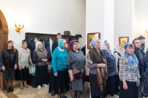 Божественная литургия в храме в честь иконы Божией Матери «Всех скорбящих Радость» г. Саратова