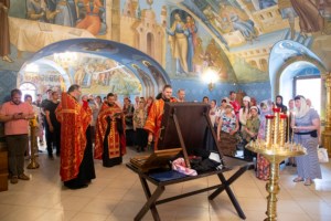 В Саратове встретили икону «Избавительница от бед»