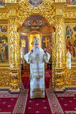 Божественная литургия в Свято-Троицком кафедральном соборе г. Саратова