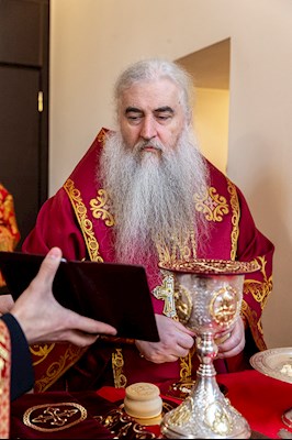 Божественная литургия в храме в честь иконы Божией Матери «Всех скорбящих Радость» г. Саратова