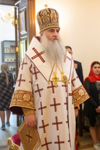 Божественная литургия в храме святого благоверного князя Александра Невского г. Саратова