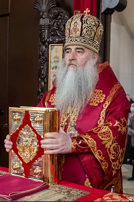 Божественная литургия в храме в честь иконы Божией Матери «Всех скорбящих Радость» г. Саратова