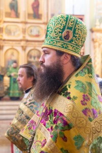 Божественная литургия в храме в честь Покрова Пресвятой Богородицы г. Саратова