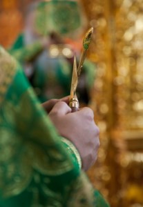 Божественная литургия в Свято-Троицком кафедральном соборе г.Саратова