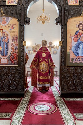 Божественная литургия в храме в честь иконы Божией Матери «Всех скорбящих Радость» г. Саратова
