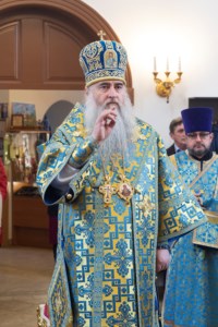 Божественная литургия в храме в честь иконы Божией Матери «Всех скорбящих Радость» г. Саратова