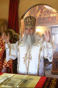 Божественная литургия в храме во имя святого благоверного великого князя Димитрия Донского села Столыпино Балтайского района