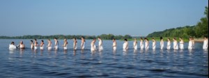 Состоялось массовое крещение оглашенных в Волге
