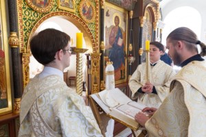 Божественная литургия на Архиерейском подворье — в храме в честь иконы Божией Матери «Утоли моя печали» г. Саратова