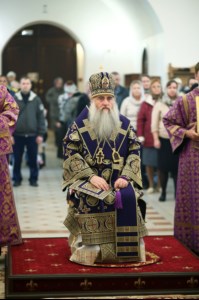 Божественная литургия в храме в честь Рождества Христова г.Саратова