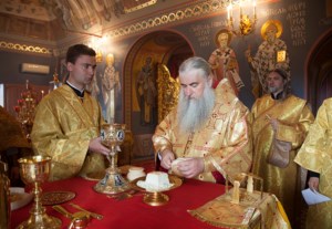 Божественная литургия в Свято-Троицком кафедральном соборе г.Саратова