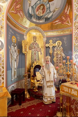 Божественная литургия в Свято-Троицком кафедральном соборе г. Саратова