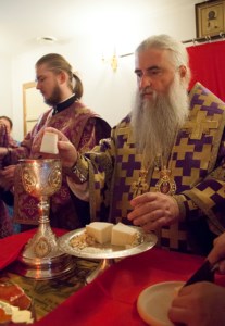 Божественная литургия в храме в честь Воздвижения Честнаго и Животворящего Креста Господня г. Саратова