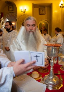 Митрополит Лонгин посетил Балашовскую епархию
