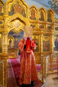 В Саратове встретили икону «Избавительница от бед»