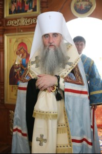Архипастырская поездка в Петровский район