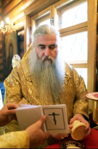 Божественная литургия в храме в честь Сретения Господня г. Саратова