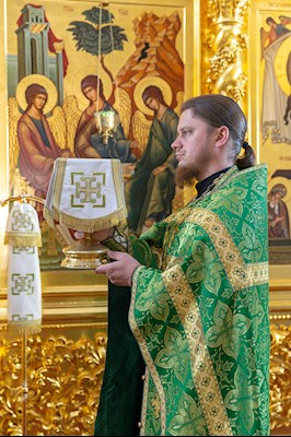 Божественная литургия в Свято-Троицком кафедральном соборе г. Саратова