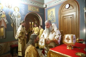 Божественная литургия в Свято-Троицком кафедральном соборе г.Саратова