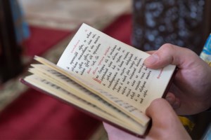 Божественная литургия в храме в честь иконы Божией Матери «Всех скорбящих Радость» г. Саратова