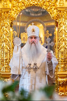Божественная литургия в Свято-Троицком кафедральном соборе г. Саратова