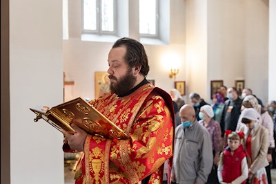 Божественная литургия в храме в честь иконы Божией Матери «Всех скорбящих Радость» г. Саратова