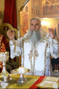 Божественная литургия в храме во имя святого благоверного великого князя Димитрия Донского села Столыпино Балтайского района