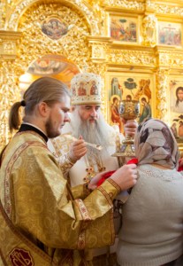 Божественная литургия в Свято-Троицком кафедральном соборе г. Саратова