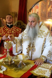 Божественная литургия в храме во имя святого благоверного великого князя Димитрия Донского села Столыпино Балтайского района