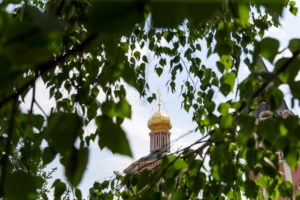 В Саратове встретили икону «Избавительница от бед»