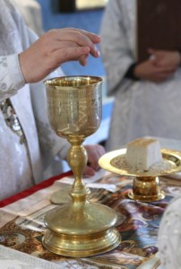 Крещальная литургия в Свято-Троицком соборе Саратова