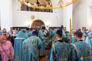 Божественная литургия в храме в честь иконы Божией Матери «Всех скорбящих Радость» г. Саратова