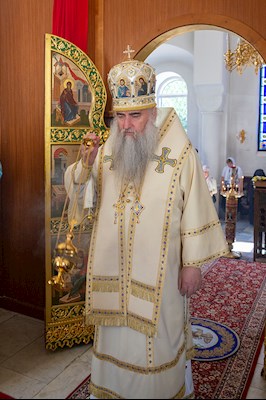 Божественная литургия на Архиерейском подворье — в храме в честь иконы Божией Матери «Утоли моя печали» г. Саратова