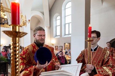 Божественная литургия в храме в честь иконы Божией Матери «Всех скорбящих Радость» г. Саратова