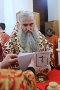 Божественная литургия в Свято-Алексиевском женском монастыре г. Саратова