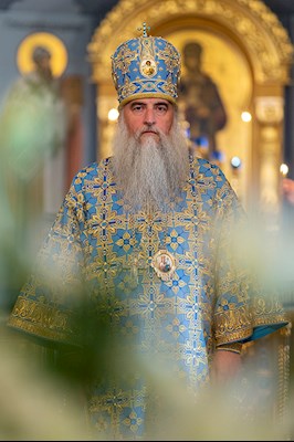 Божественная литургия в Свято-Троицком кафедральном соборе г. Саратова