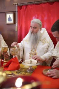 Божественная литургия в храме во имя святителя Тихона, епископа Воронежского, Задонского чудотворца, г. Саратова