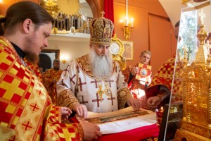 Божественная литургия в храме святого благоверного князя Александра Невского г. Саратова