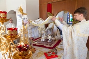 Божественная литургия на Архиерейском подворье — в храме в честь иконы Божией Матери «Утоли моя печали» г. Саратова