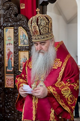 Божественная литургия в храме в честь иконы Божией Матери «Всех скорбящих Радость» г. Саратова