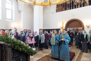Божественная литургия в храме в честь иконы Божией Матери «Всех скорбящих Радость» г. Саратова