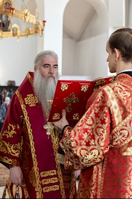 Божественная литургия в храме в честь иконы Божией Матери «Всех скорбящих Радость» г. Саратова